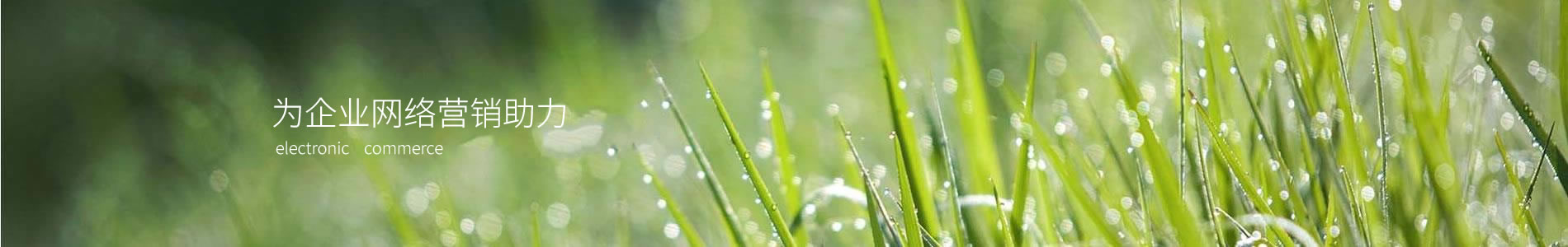 ݸнƷ޹˾